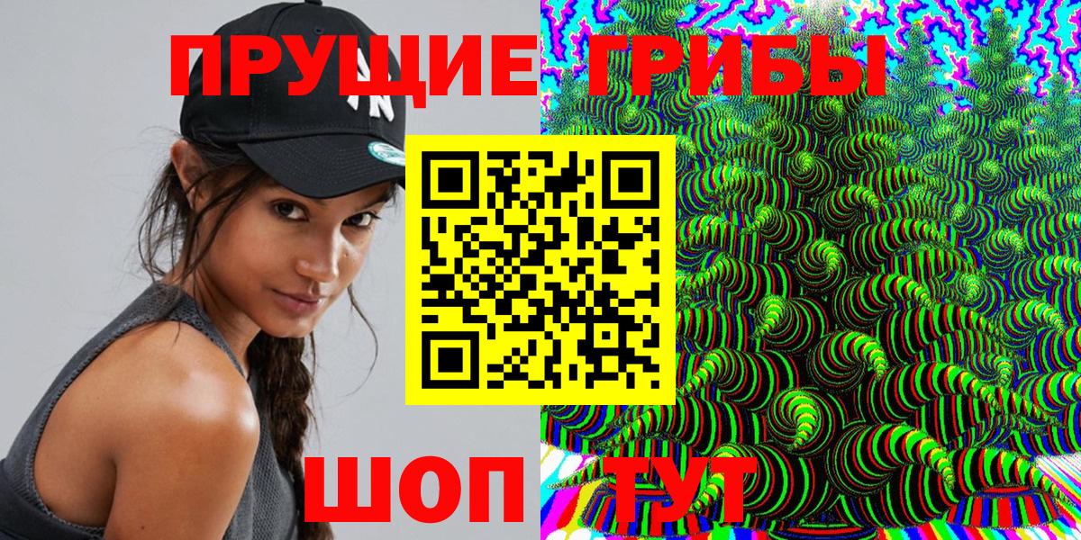 Псилоцибиновые грибы GOLDEN TEACHER Подольск