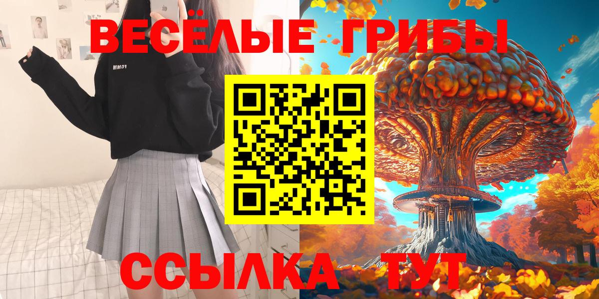 Подольск  купить закладку  Вход с VPN  Псилоцибиновые грибы мухоморы 