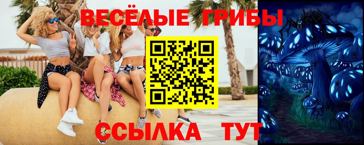 Галлюциногенные грибы Cubensis  Подольск  хочу   Галлюциногенные грибы мухоморы 